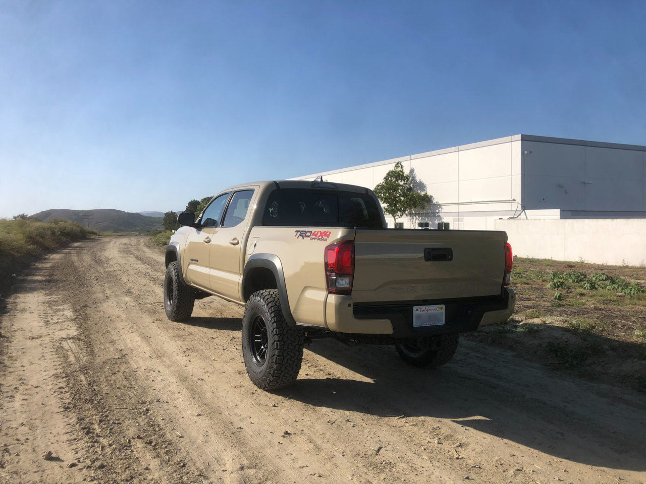 Taco_rear_1.jpg