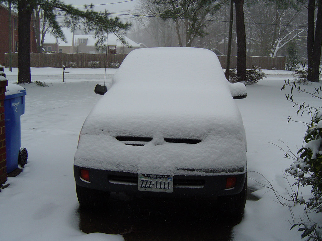 Taco_snow.jpg