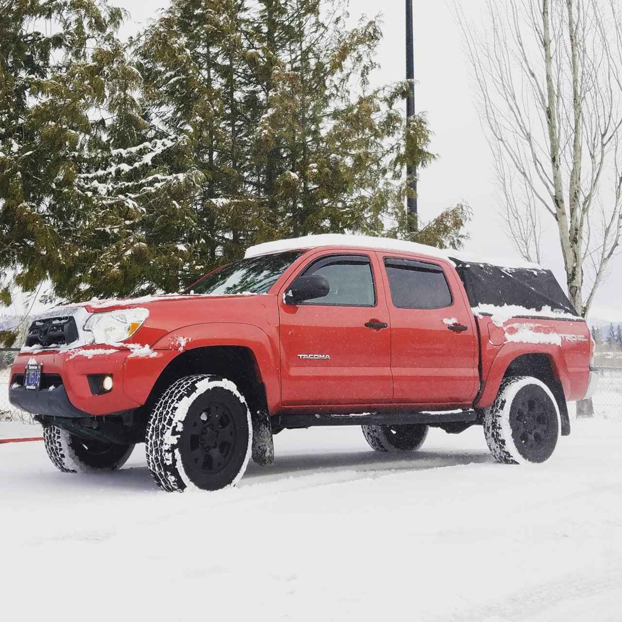 Taco_Snow.jpg