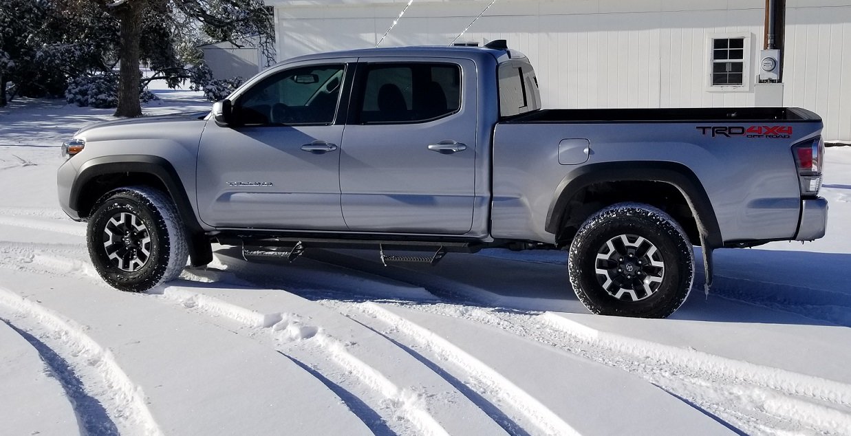 Taco_snow_day.jpg