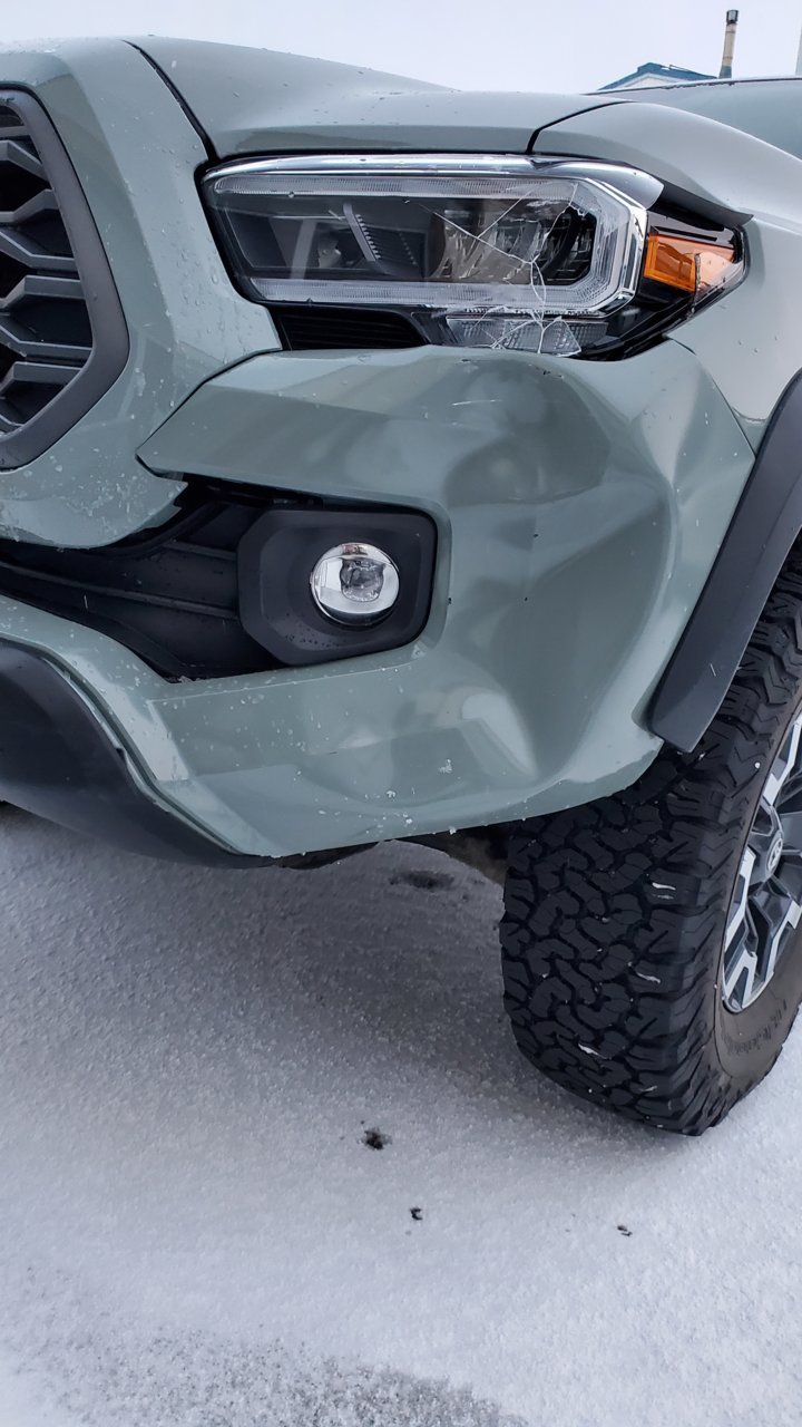 tacobumper.jpg