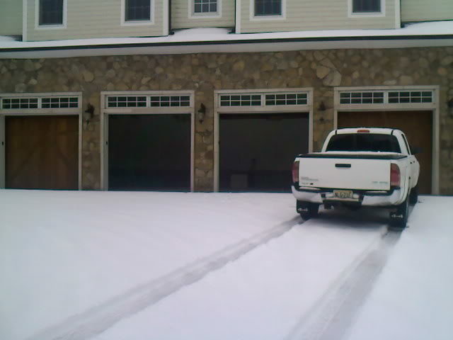 tacoinsnow2_91e13186fd804863a3e0bc153769e5e1a60b1f21.jpg