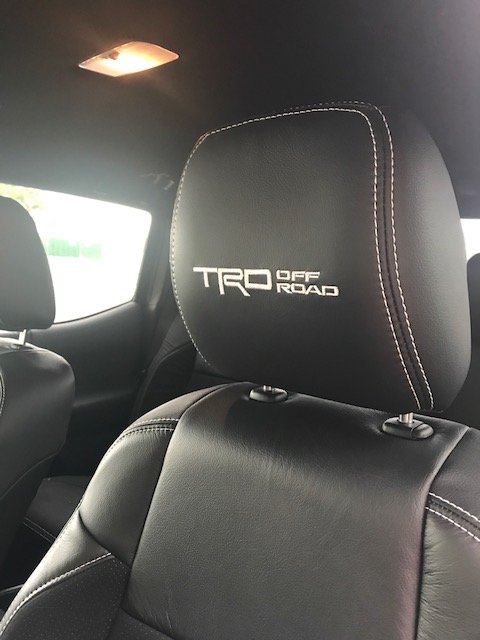 TacoInterior3.jpg