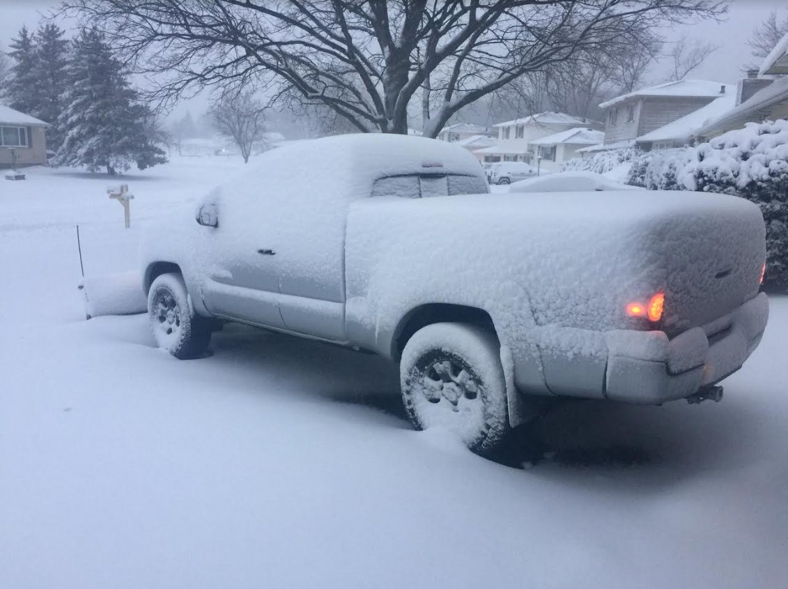 Tacointhesnow3.jpg