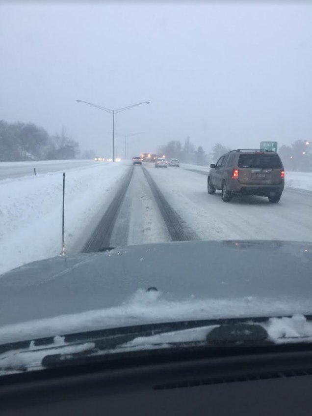 Tacointhesnow4.jpg