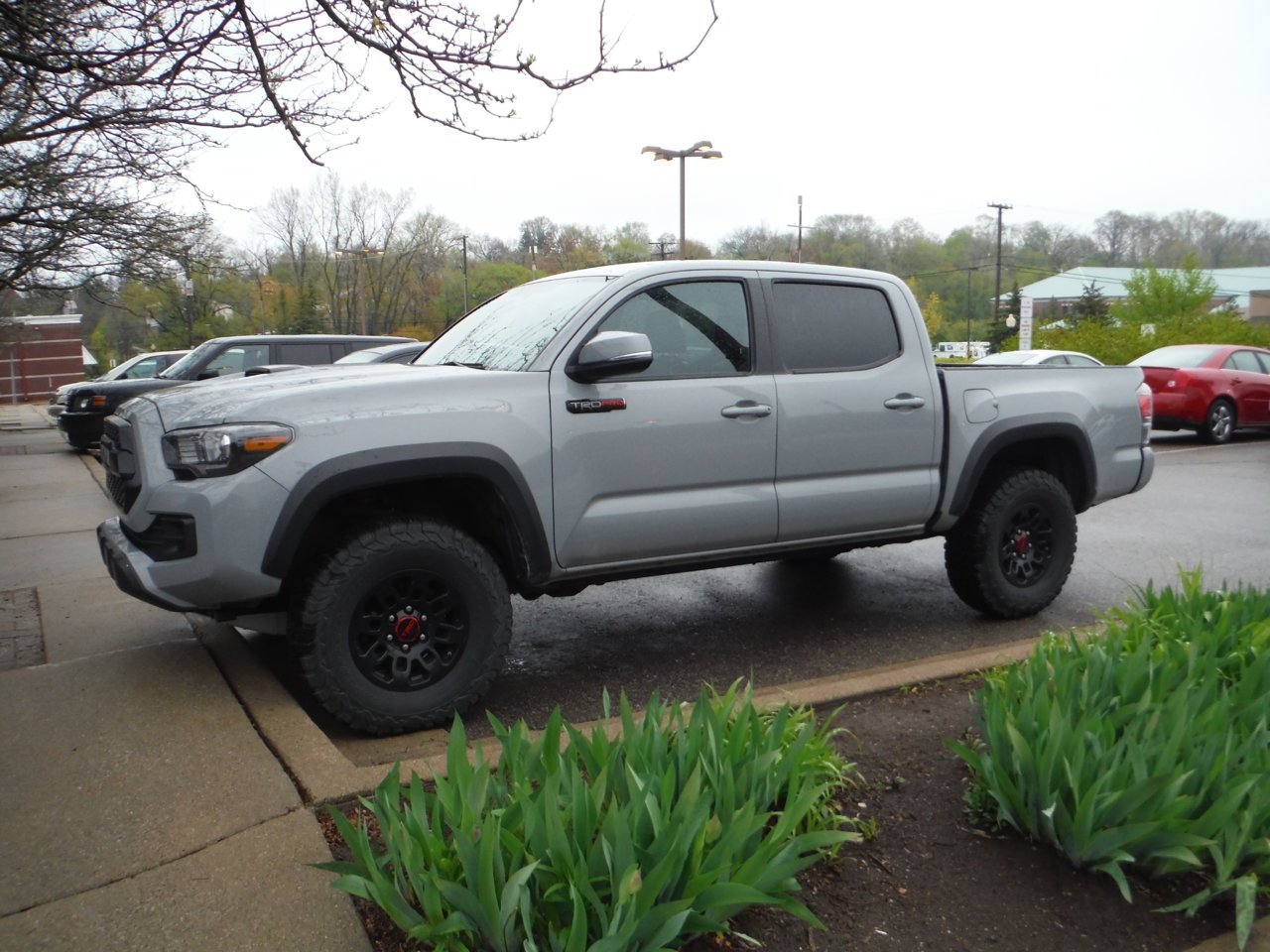 TACOMA 001.jpg