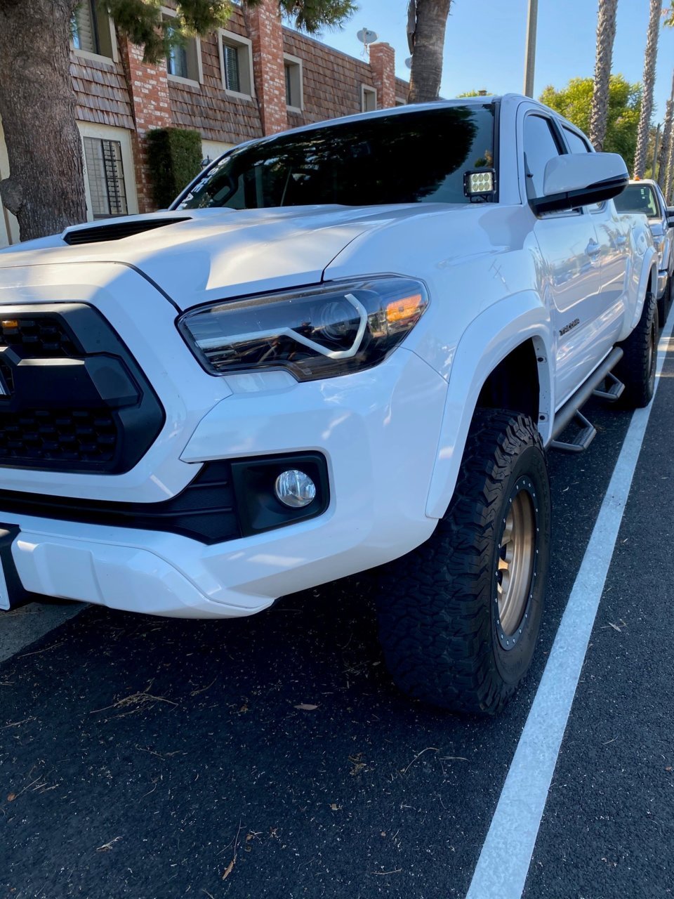TACOMA (2).jpg