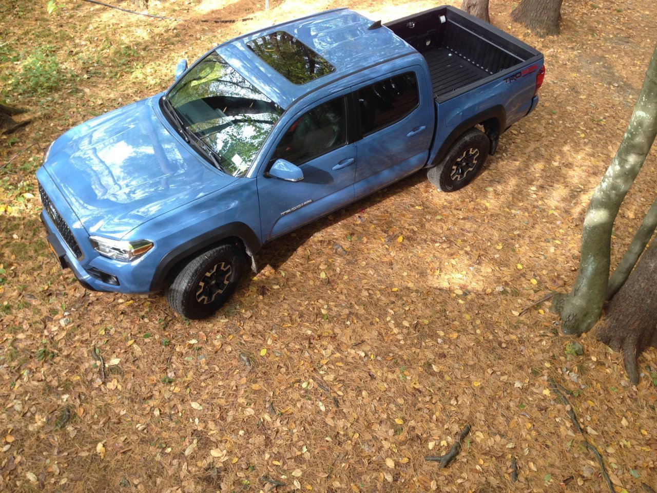 Tacoma 2019 Roof.jpg