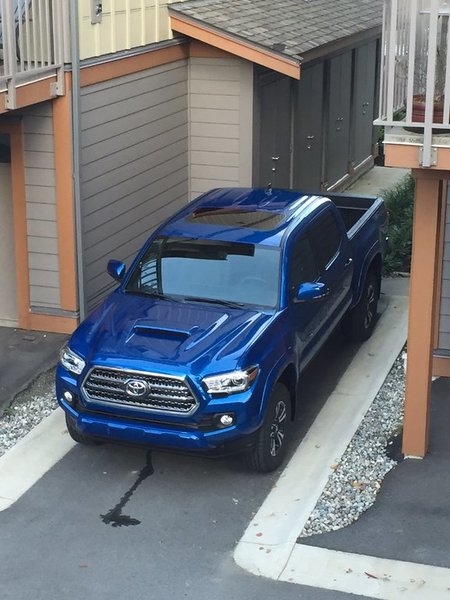 Tacoma 3.jpg
