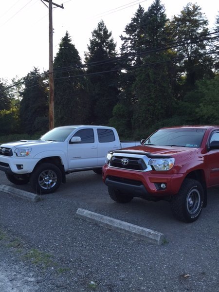 Tacoma 6.jpg