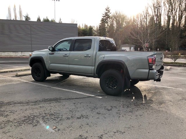 tacoma 8.jpg