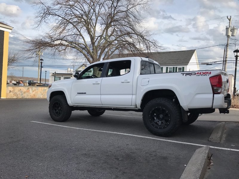 tacoma 9.jpg