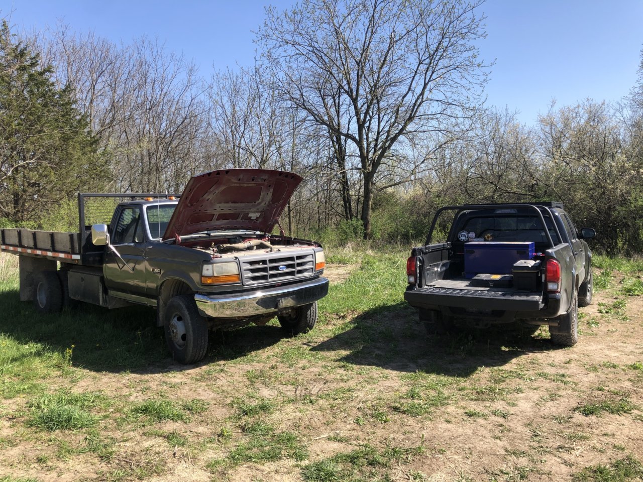 Tacoma and Ford.jpg