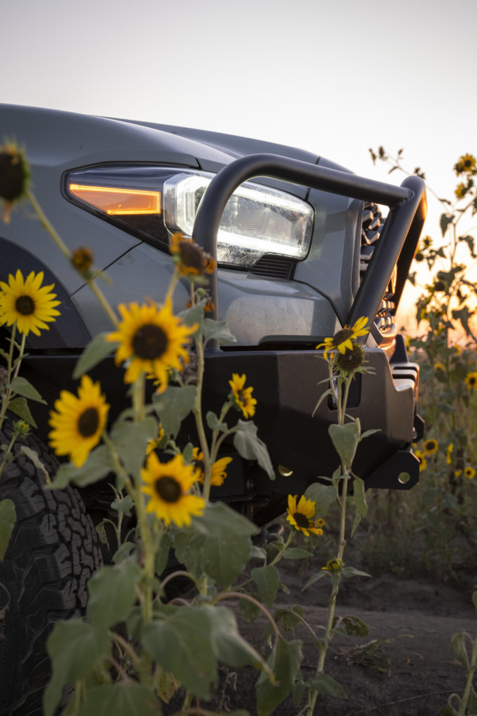 Tacoma Backwoods Dirt Road 3 resize.jpg