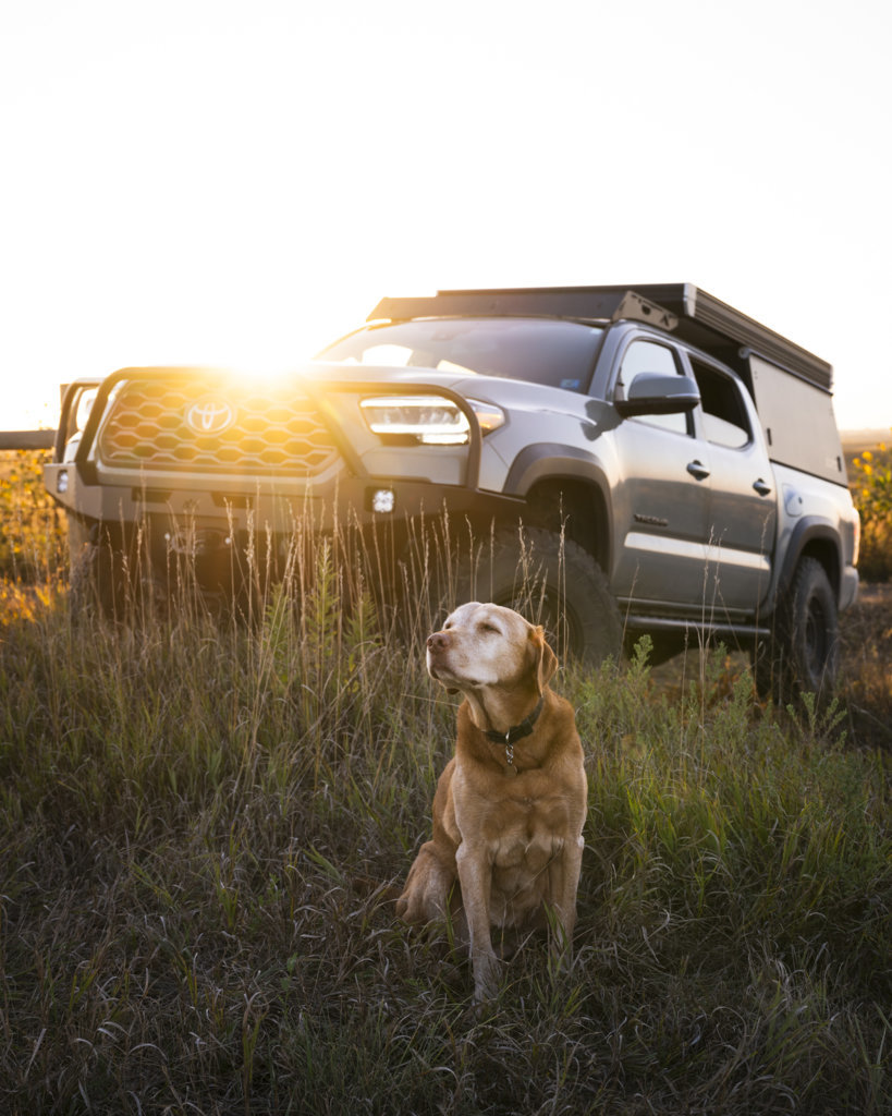 Tacoma Backwoods Dirt Road 6 resize.jpg