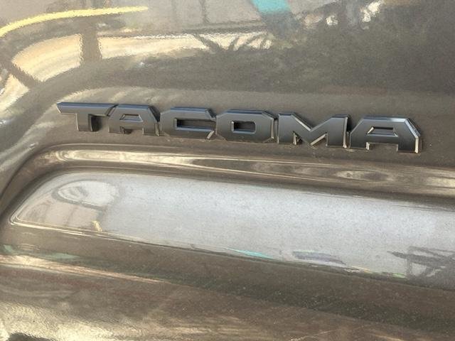 tacoma badge.jpg