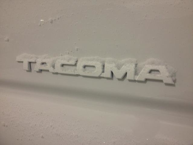 Tacoma badge snow.jpg