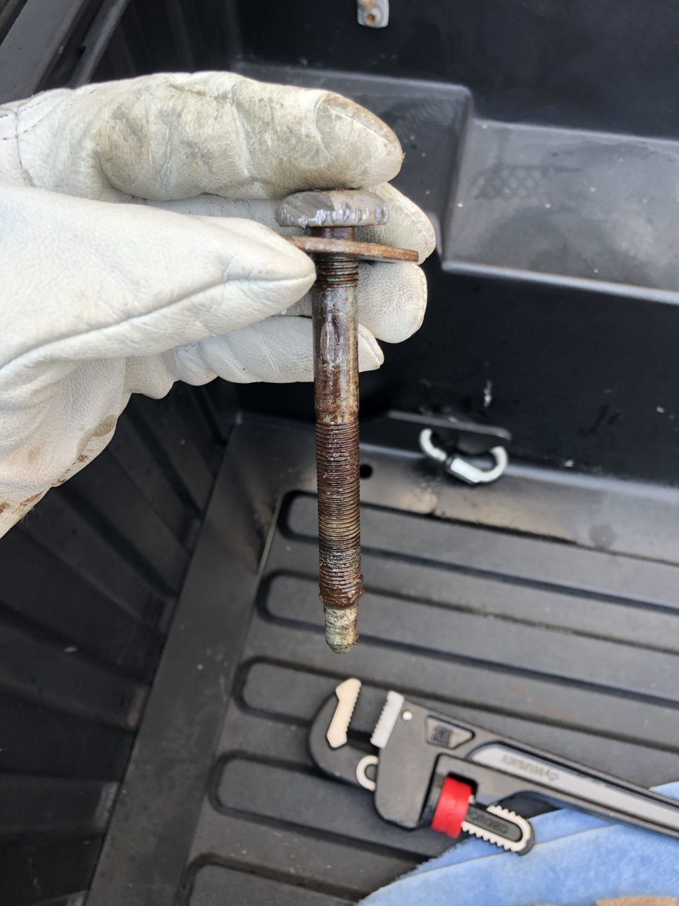 Tacoma Bolt.jpg