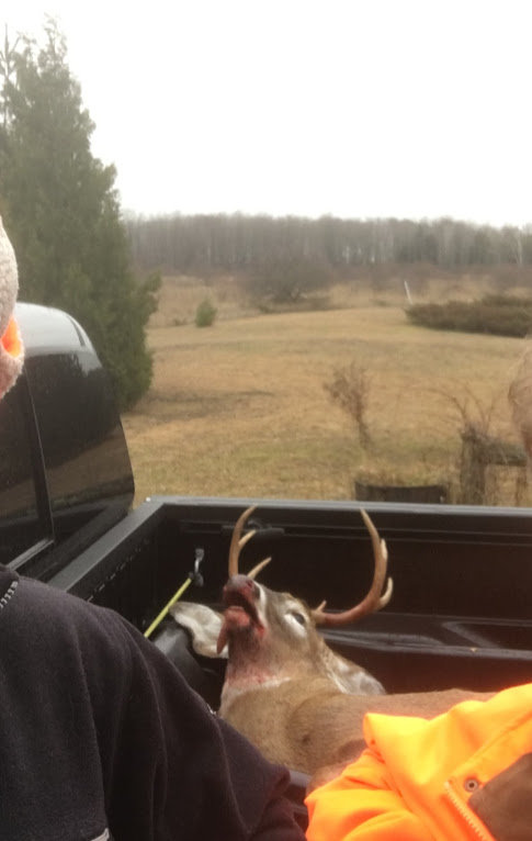 tacoma buck.jpg