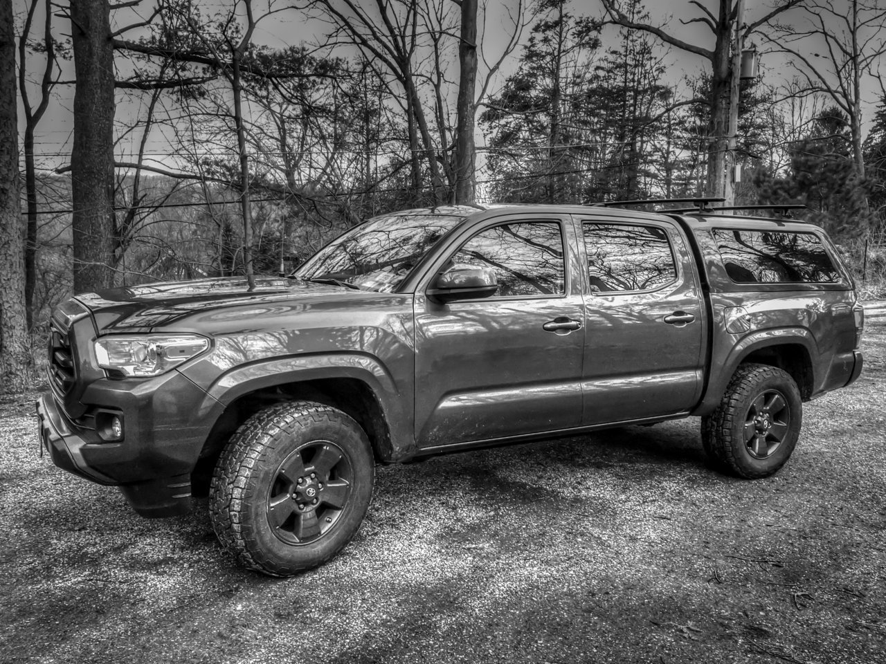 Tacoma BW-100.jpg