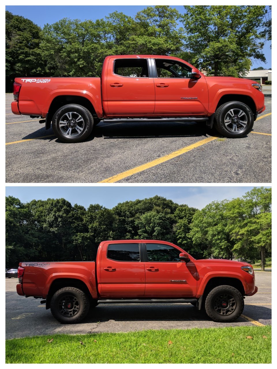 Tacoma Colage.jpg