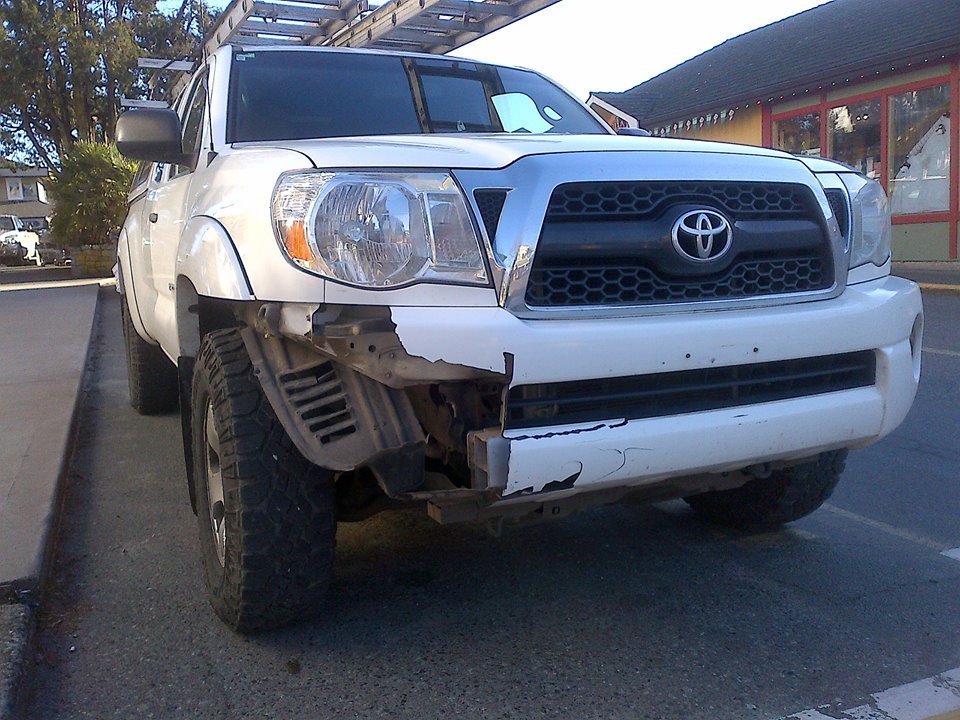 tacoma deer.jpg