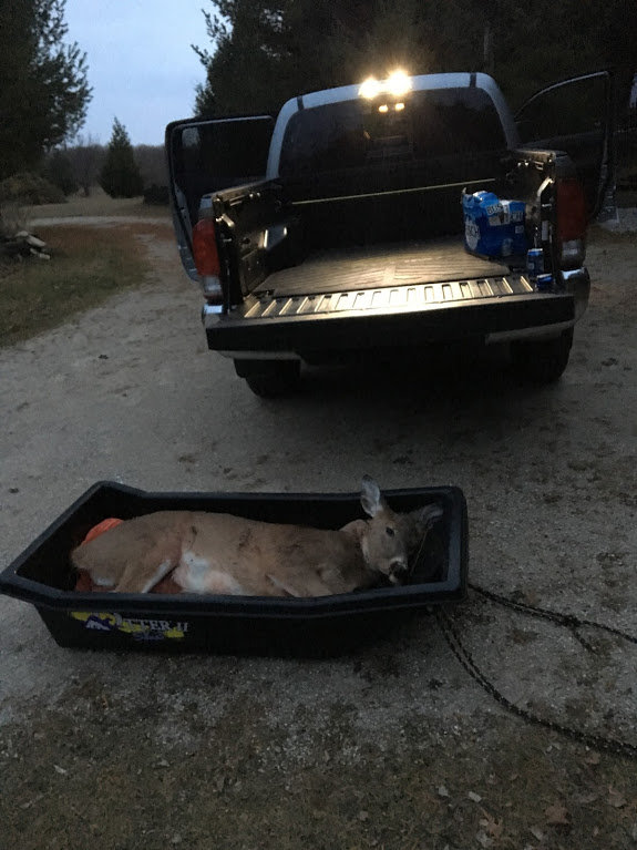 tacoma doe.jpg