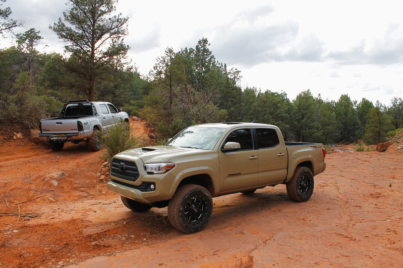 Tacoma - Friend.jpg