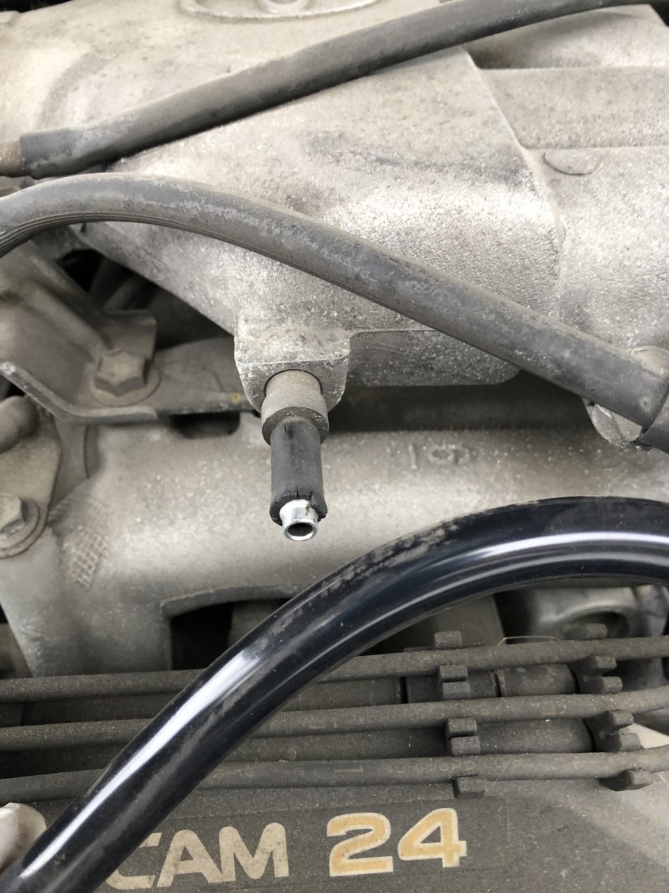 Tacoma hose.jpg