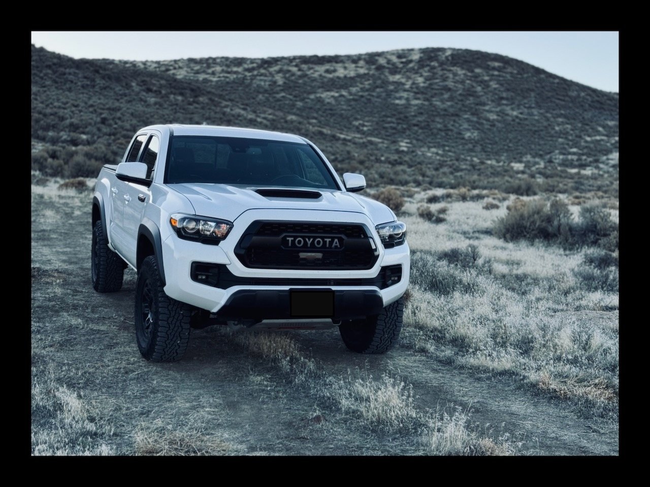 Tacoma in a field.jpg