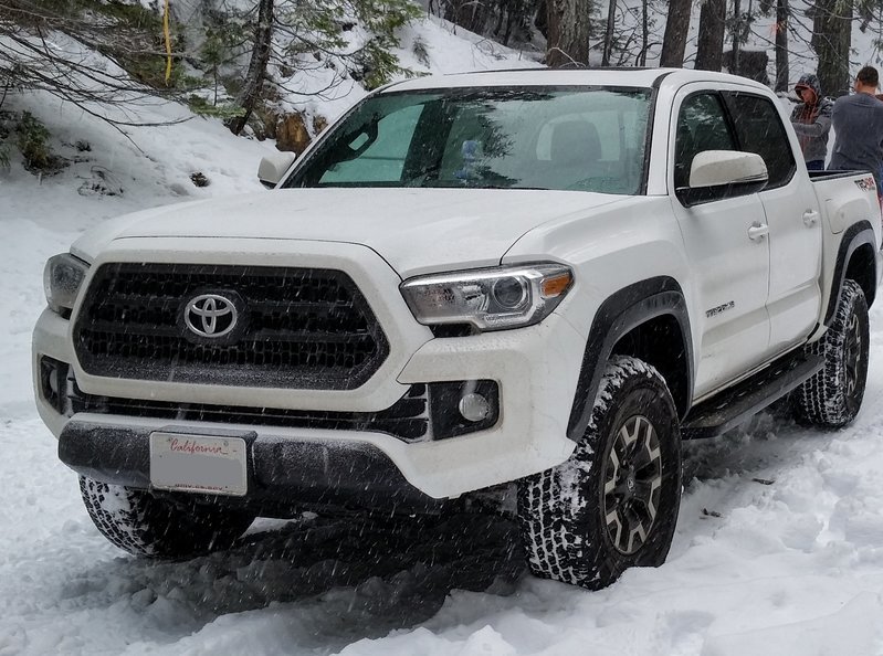Tacoma in Snow Ink LI.jpg