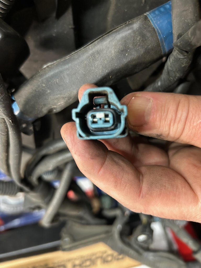 Tacoma inj harness.jpg