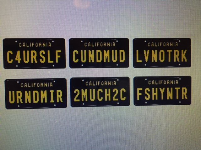 Tacoma License Plates.jpg
