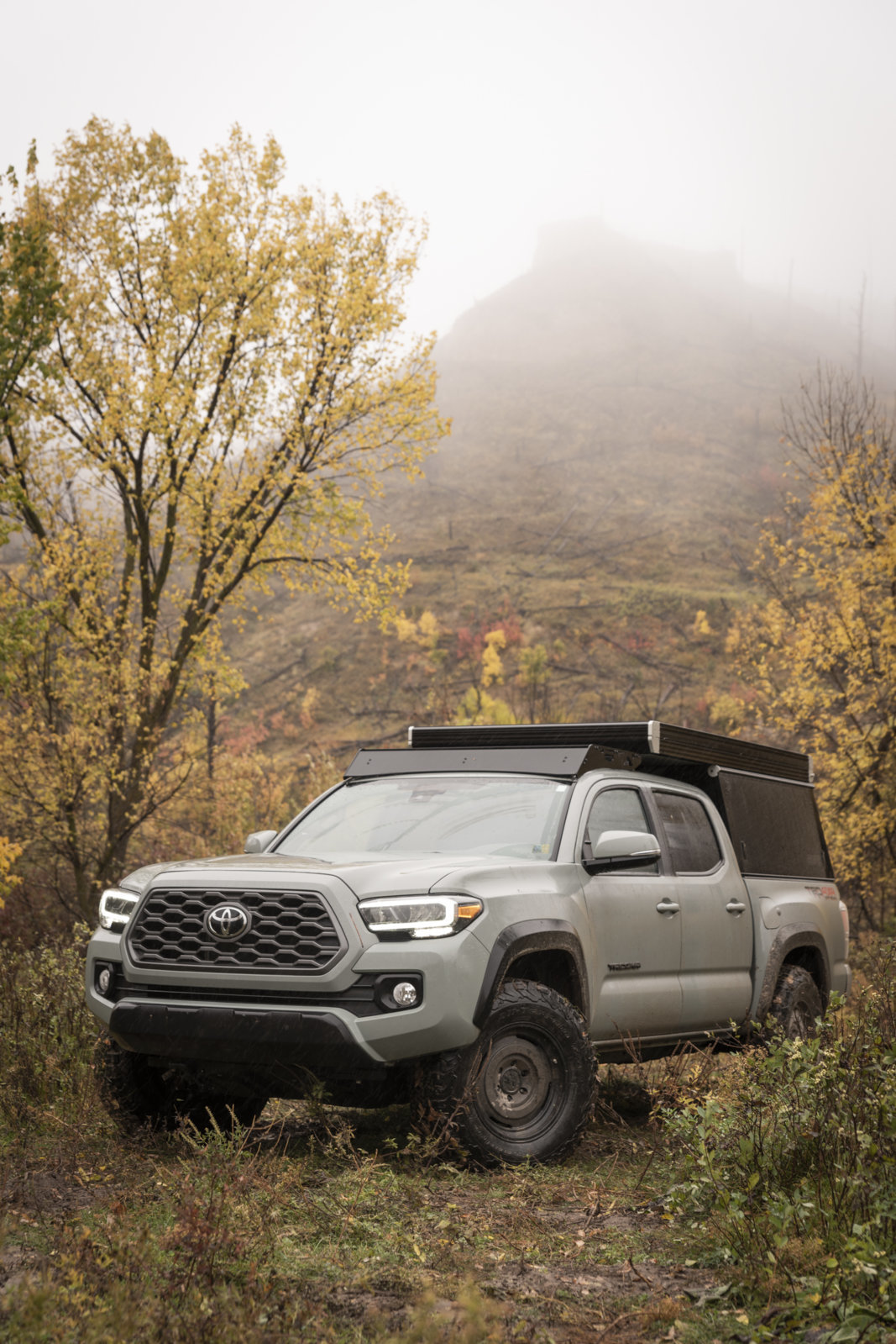 Tacoma Nebraska Forest resize.jpg