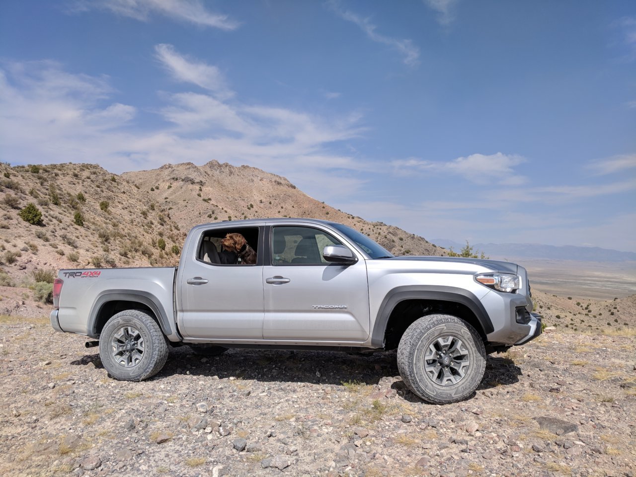 Tacoma - no lift.jpg