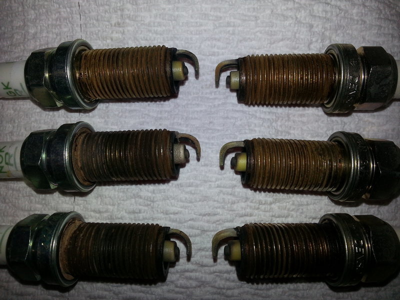 Tacoma Plugs.jpg