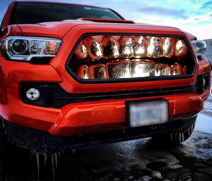 tacoma-pro-grille.jpg