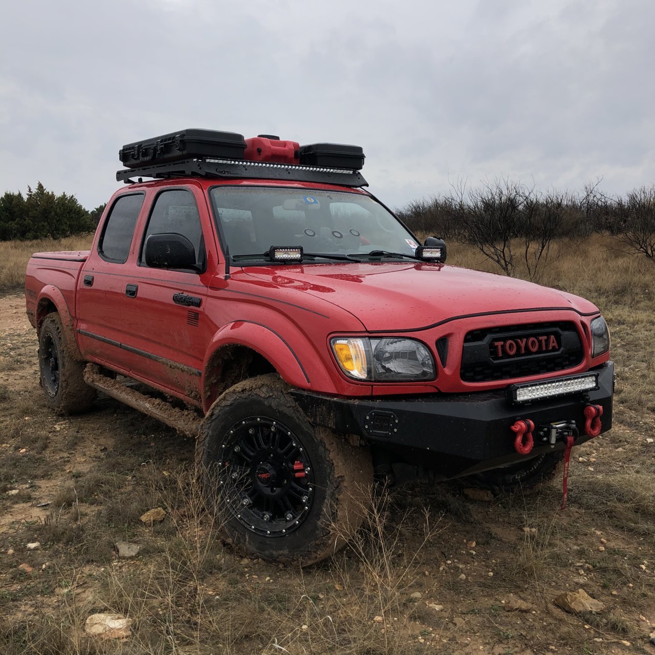 Tacoma Profile Picture.jpg