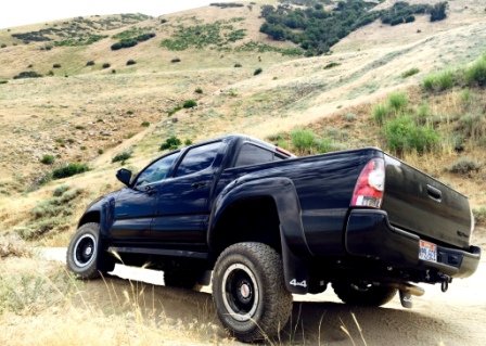 Tacoma Quail other side.jpg