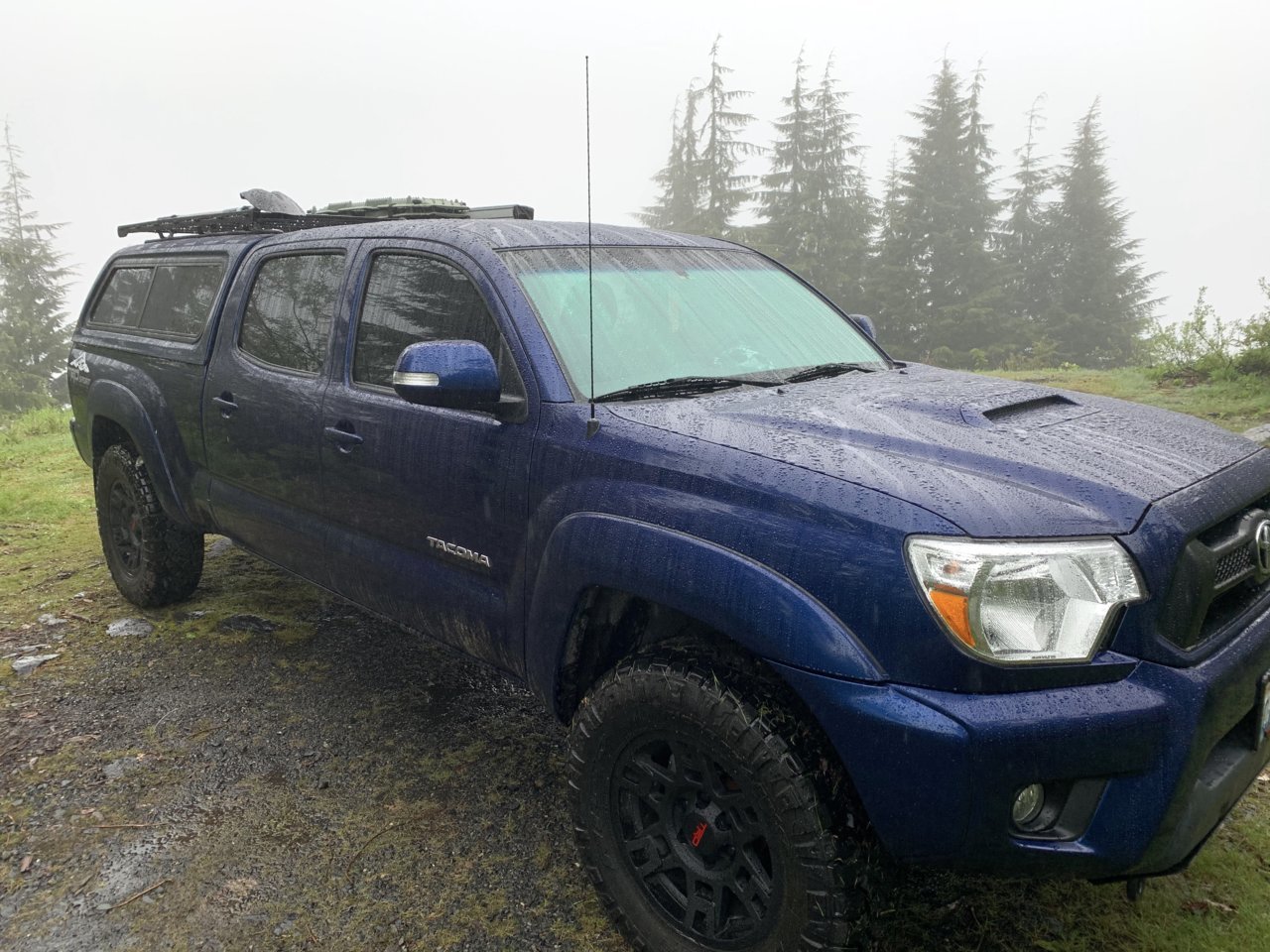 Tacoma Rain 1.jpg