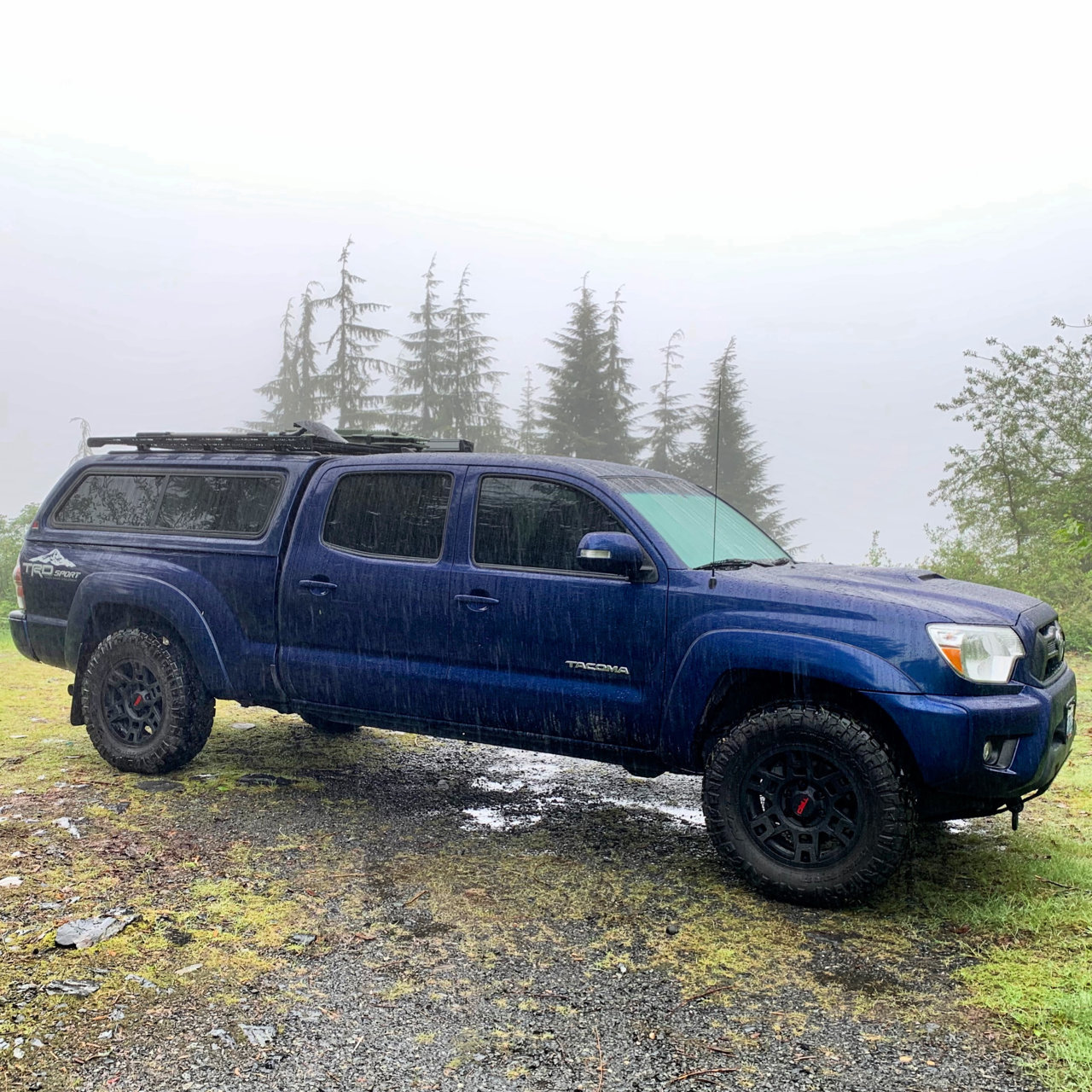 Tacoma Rain 2.jpg