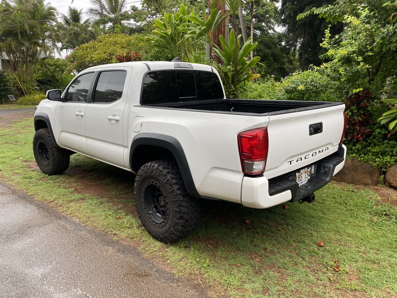 Tacoma rear 3:4.jpg