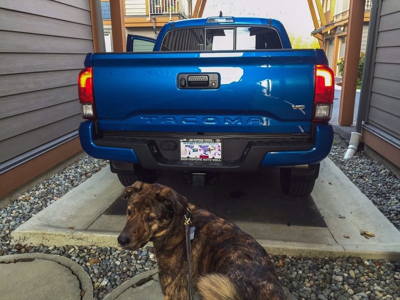 Tacoma Rear Signals.jpg