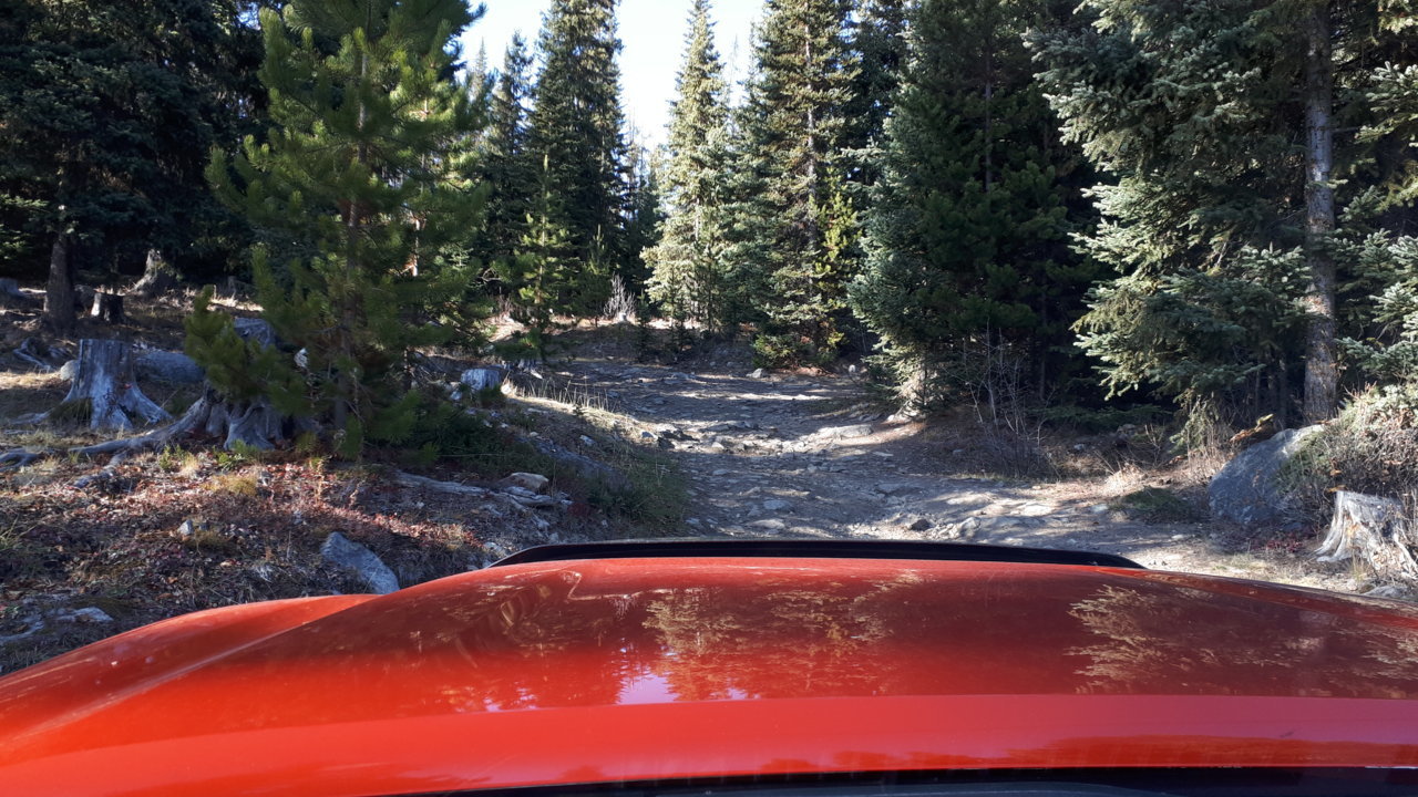tacoma-road.jpg