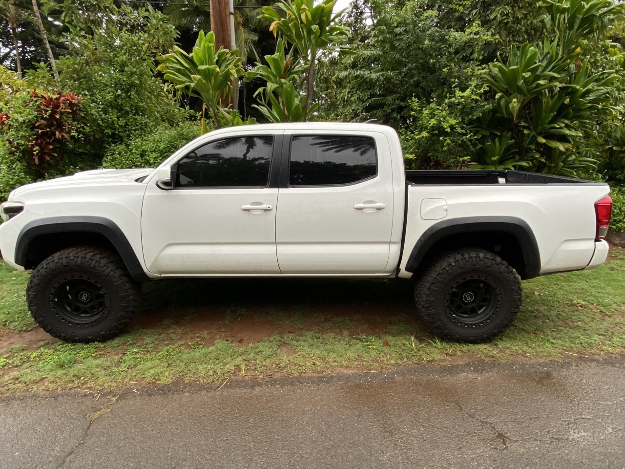 Tacoma.side.jpg
