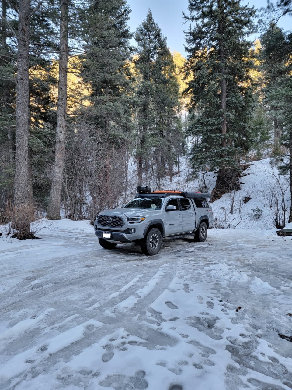 Tacoma Taos.jpg