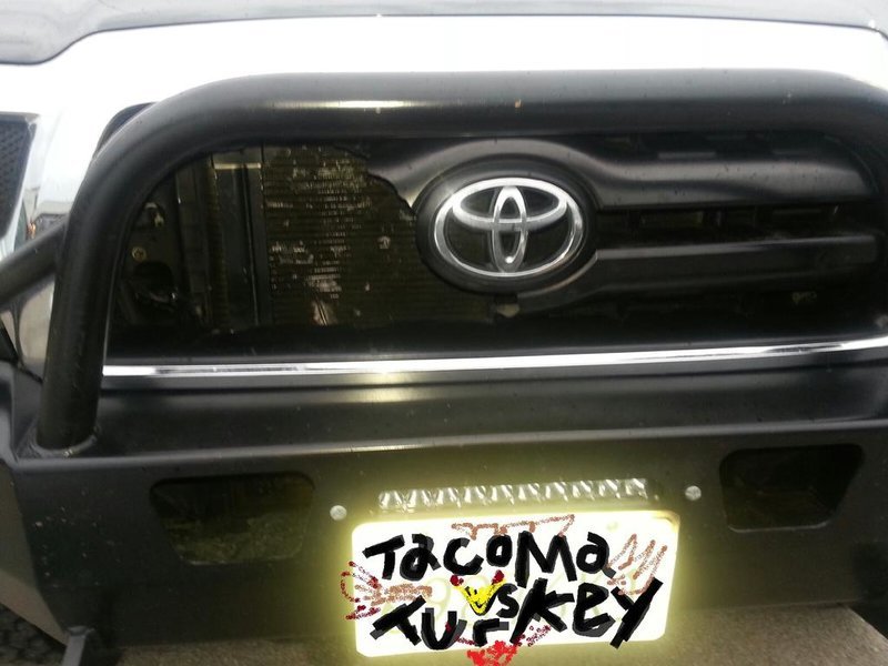 Tacoma vs turkey.jpg