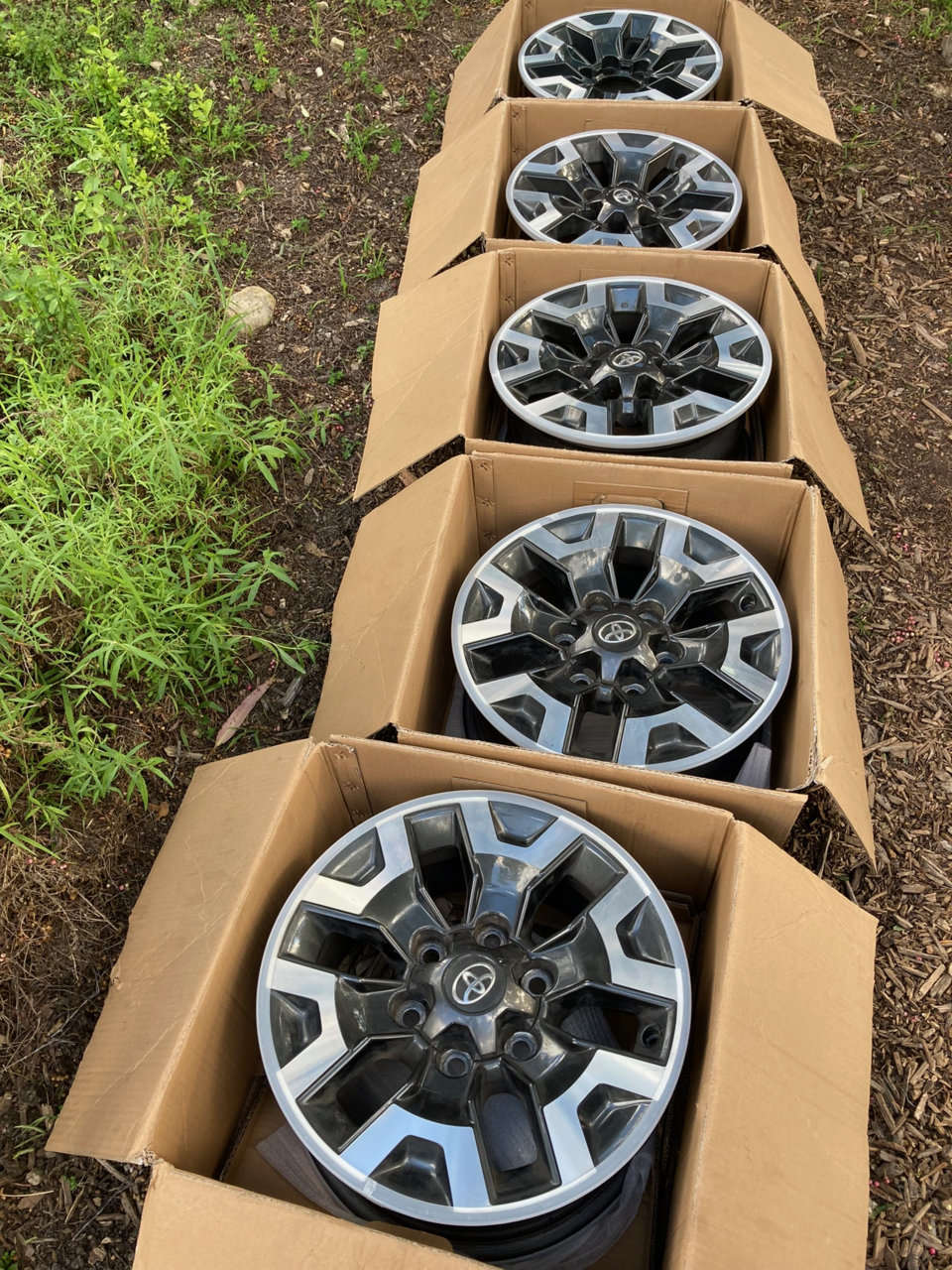 Tacoma wheels.jpg