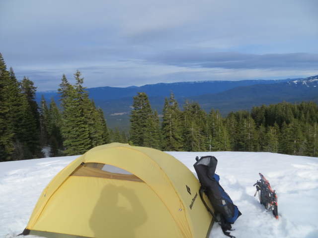 Tacoma white pump, complete disc 403_opt.jpg