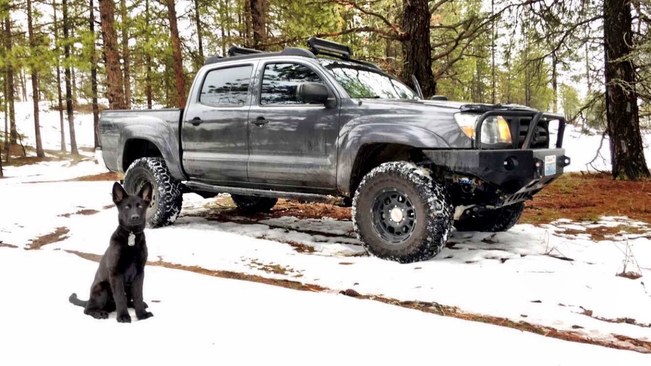 Tacoma without canopy.jpg